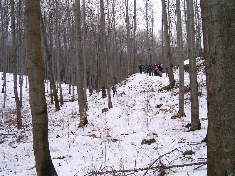 20110219 030.jpg